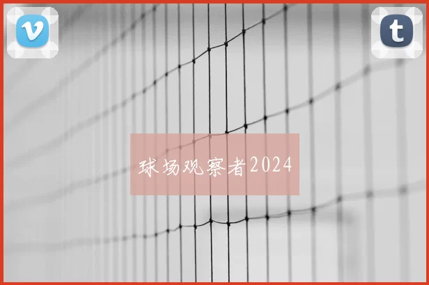 球场观察者2024