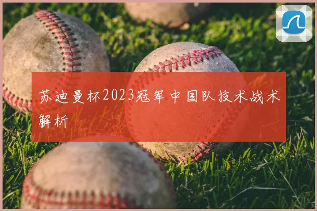 苏迪曼杯2023冠军中国队技术战术解析