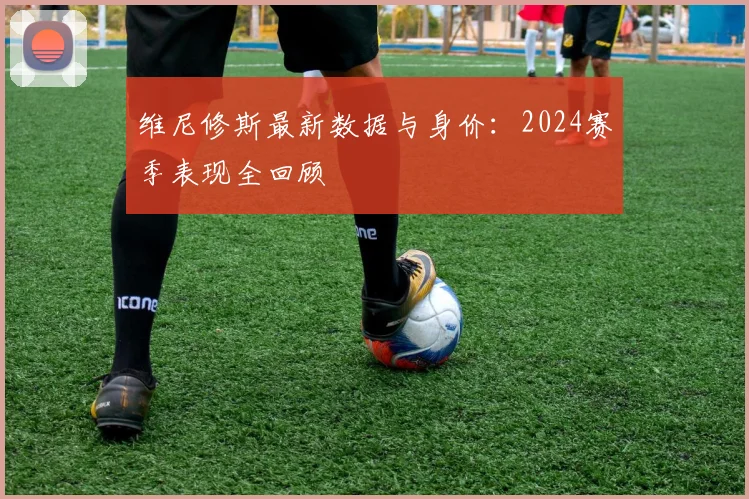 维尼修斯最新数据与身价:2024赛季表现全回顾