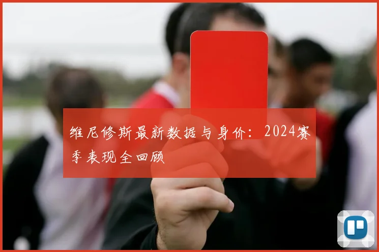 维尼修斯最新数据与身价:2024赛季表现全回顾